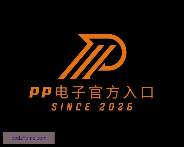 关于PP电子官方入口